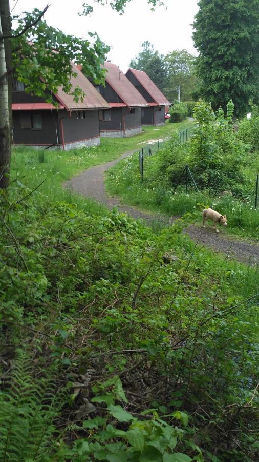 Apartmany Slavie/Sega Trojanovice Dış mekan fotoğraf