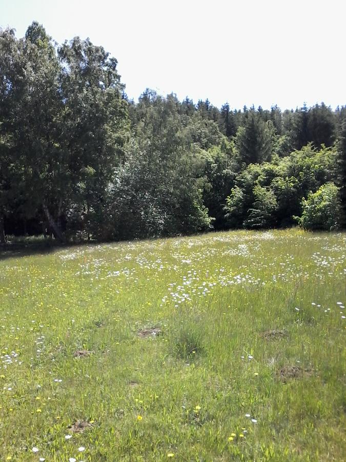Apartmany Slavie/Sega Trojanovice Dış mekan fotoğraf