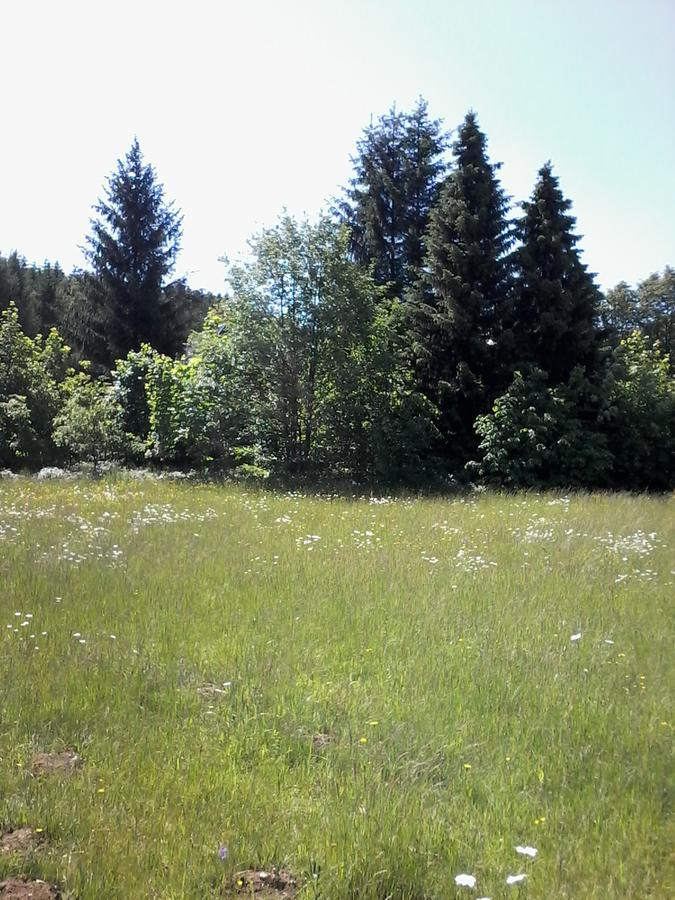 Apartmany Slavie/Sega Trojanovice Dış mekan fotoğraf